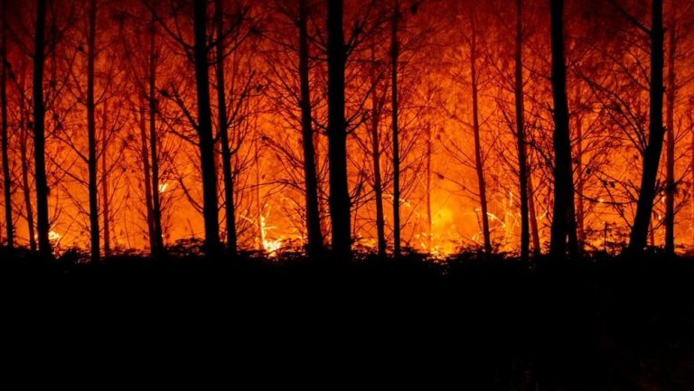 Tragedi Kebakaran Hutan Prancis: Korban Jiwa dan Ribuan Hektar Ludes