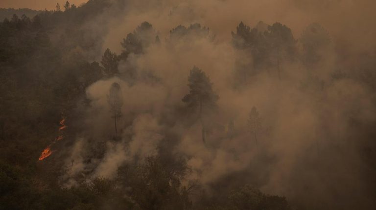 Api Memangsa 1640 Hektar Hutan Spanyol