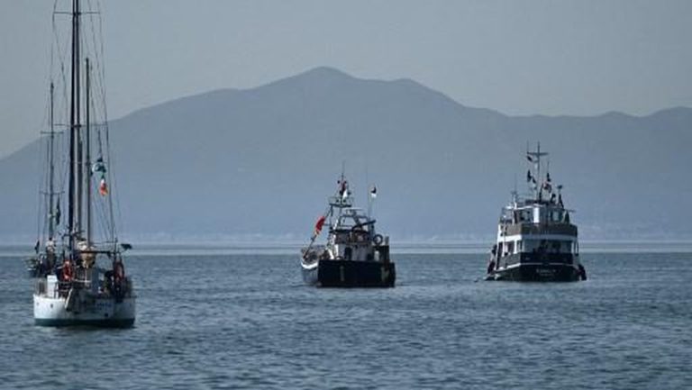 Israel Deportasi Ratusan Aktivis, Perlakuan Miris Terungkap! Israel Deportasi Ratusan Aktivis, Perlakuan Miris Terungkap!