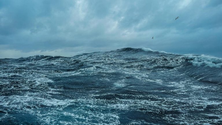 Keajaiban di Tengah Badai: Kisah Nyata 3 Pria Selamat dari Maut Setelah 40 Jam Terombang-ambing di Laut Vietnam Keajaiban di Tengah Badai: Kisah Nyata 3 Pria Selamat dari Maut Setelah 40 Jam Terombang-ambing di Laut Vietnam