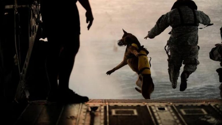 Misi Rahasia Tim Elit Selamatkan Pilot AS