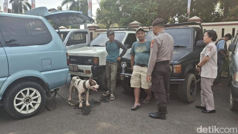 Anjing Pemburu Maut Bocah Tak Berdaya di Bogor
