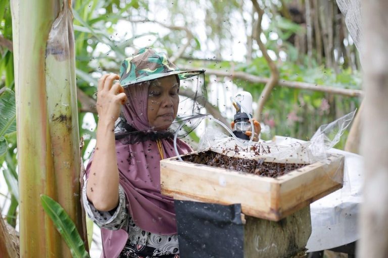 Madu Trigona Mengubah Hidup Petani