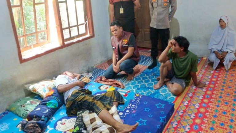 Petani Sumsel Berjuang Hidup Diserang Beruang Petani Sumsel Berjuang Hidup Diserang Beruang