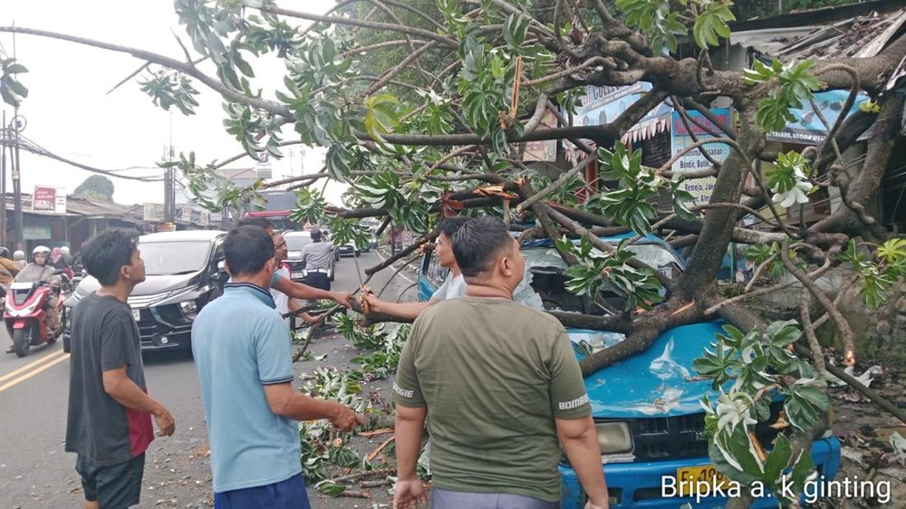 Bogor Pagi Kacau Pohon Raksasa Timpa Angkot Kios
