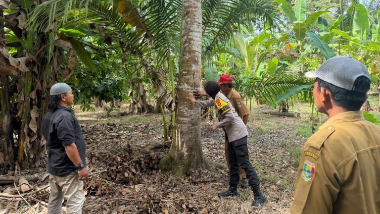 Teror Beruang di Kebun Petani Lampung