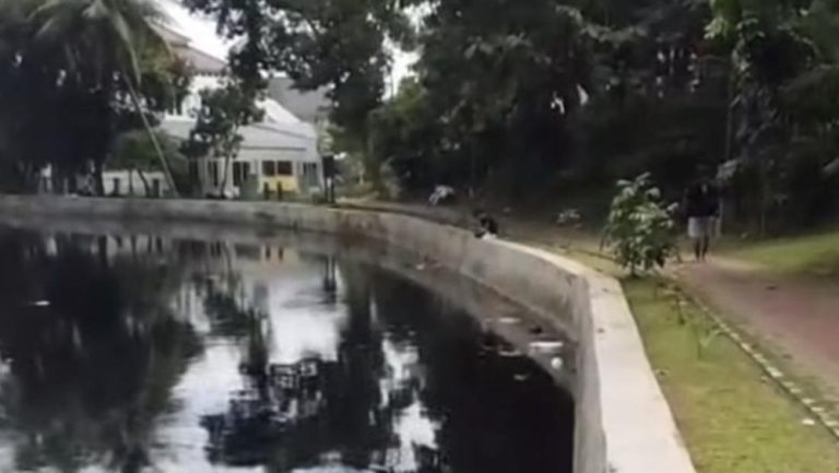 Danau Depok Menghitam DLHK Turun Tangan Danau Depok Menghitam DLHK Turun Tangan