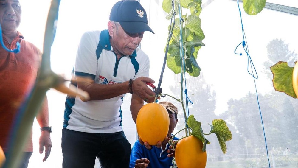 Bekasi Panen Melon Kemensos Punya Strategi Baru