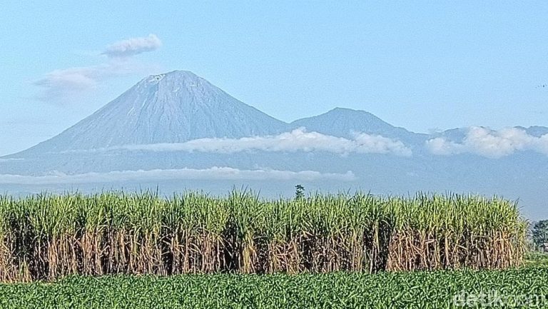 Semeru Tutup Sementara Ada Apa