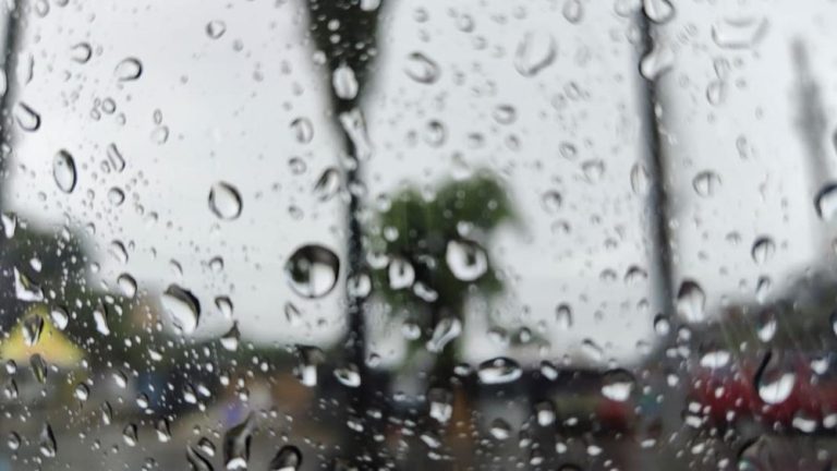 Bogor Akhirnya Diguyur Berkah Langit Bogor Akhirnya Diguyur Berkah Langit