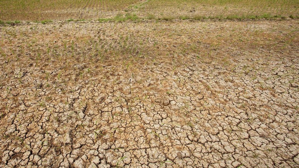 Banten Siaga Penuh Hadapi El Nino
