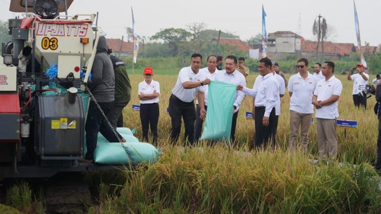 Kejagung Ungkap Senjata Rahasia Jaga Pangan Nasional