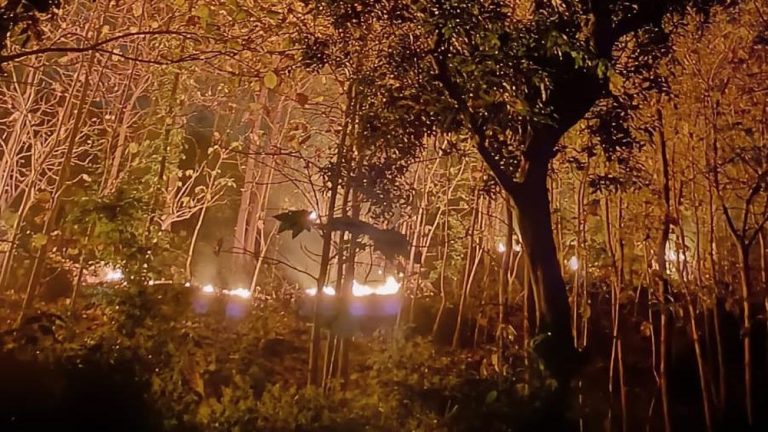 Tragedi Hutan Ponorogo Awalnya Sepele