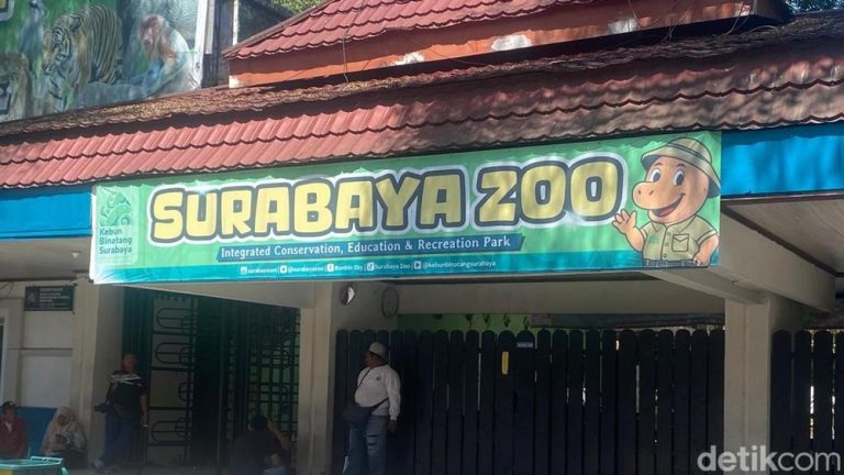 Mantan Dirut Korupsi Pakan Satwa Rp 10 Miliar Kondisi Hewan KBS Mengejutkan