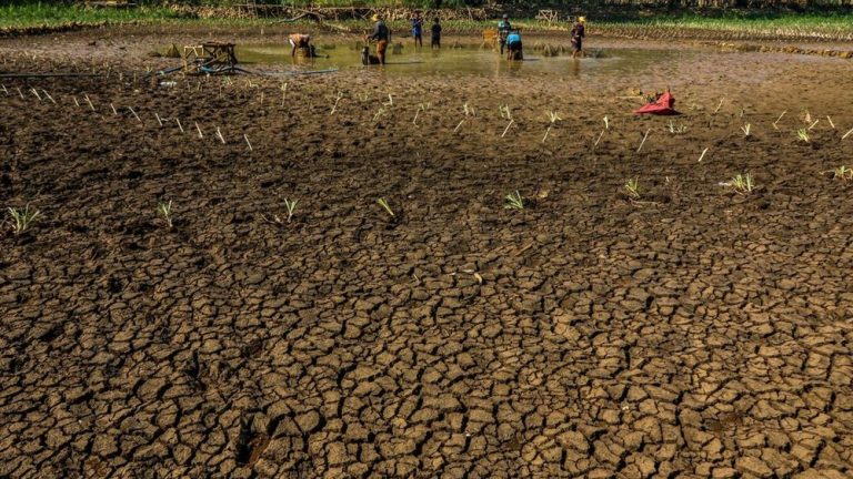 Petani Gunungkidul Jual Ayam Demi Air Bersih