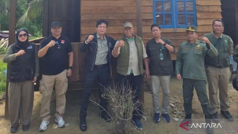 Harapan Baru dari Penjaga Hutan Harapan Baru dari Penjaga Hutan