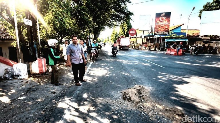 Kaki di Pohon Brebes