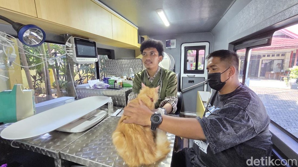Klinik Hewan Keliling Jakarta Layani Kucing Hingga Kambing