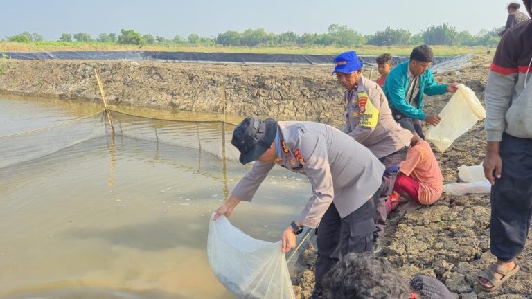 Bekasi Banjir Harapan Baru Berkat Ribuan Lele