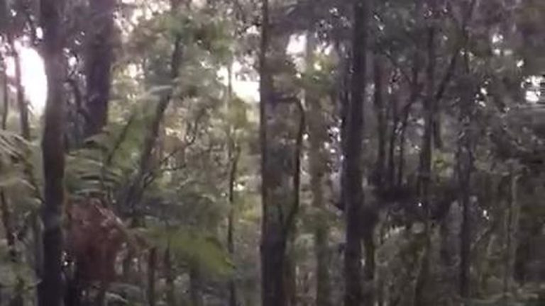 Pendaki 145 Kg Terjebak di Gunung Gede