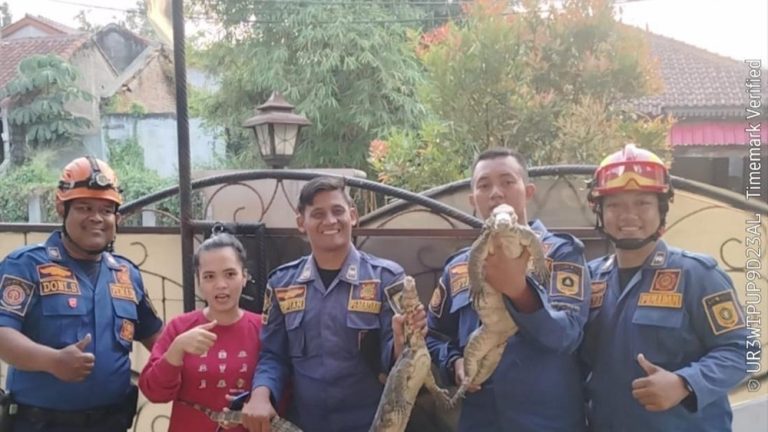 Kejutan Tak Terduga di Dapur Bogor