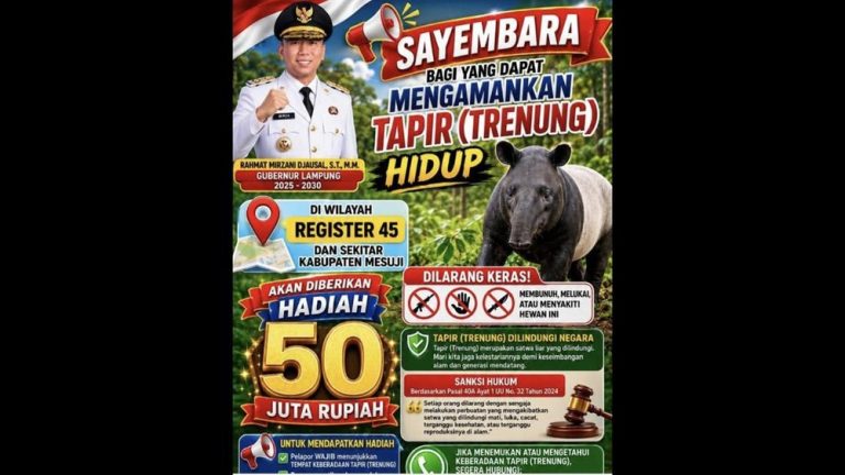 Rp 50 Juta Menanti Penemu Tapir Hidup di Mesuji