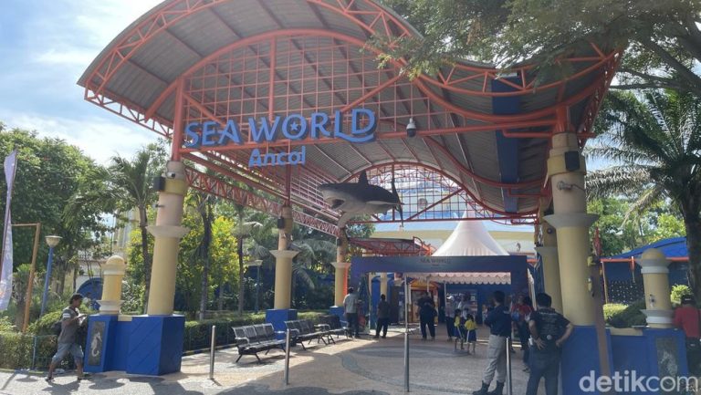 Ancol Gratiskan Tiket Masuk Lansia Cek Sekarang