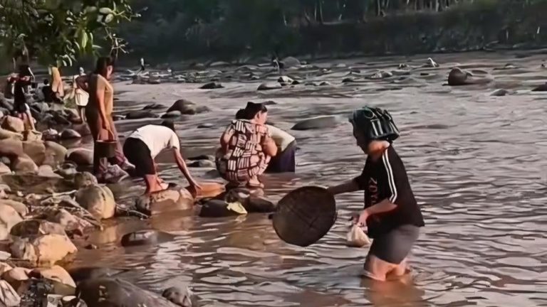 Misteri Ikan Mabuk di Sungai Bogor Terungkap