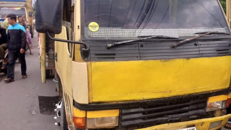 Sopir Belia Truk Maut di Jambi