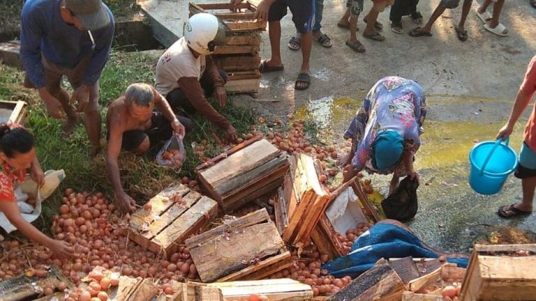Telur Rp 26 Juta Lenyap di Purbalingga