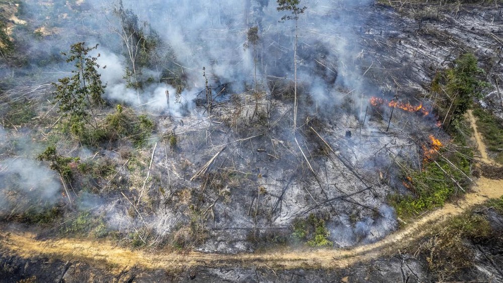72 Tersangka Karhutla Bukti Pembakaran Hutan Terkuak