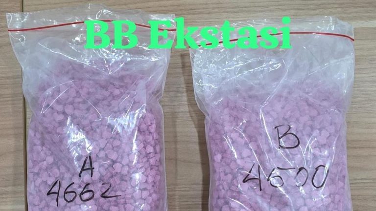Upah 700 Ribu Sehari Kurir Jaringan Malaysia Medan Terjaring