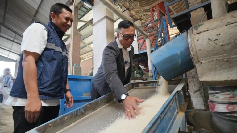 Pentingnya Kualitas Beras Nasional Ini Pesan Dirut BULOG Pentingnya Kualitas Beras Nasional Ini Pesan Dirut BULOG