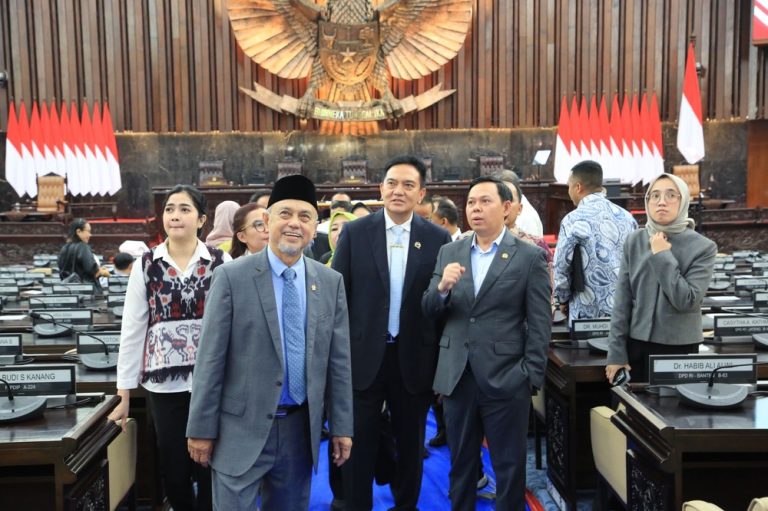 DPD Bawa Daerah ke Panggung Nasional DPD Bawa Daerah ke Panggung Nasional