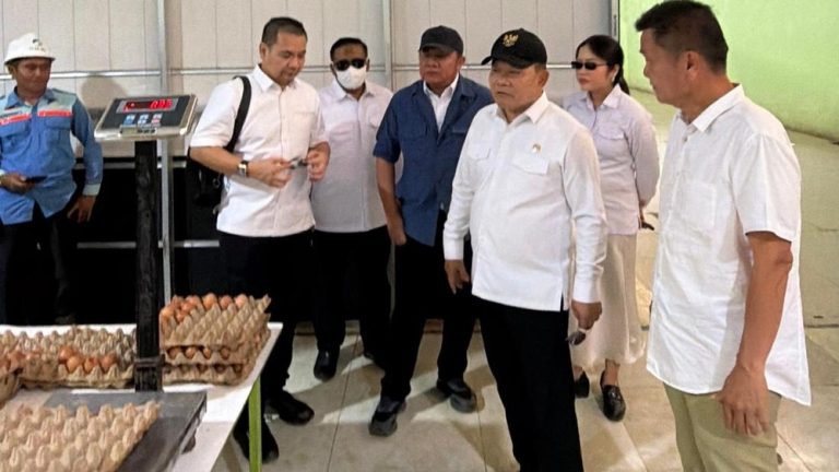 Sumsel Pastikan Telur Aman Program Nasional Lancar Sumsel Pastikan Telur Aman Program Nasional Lancar