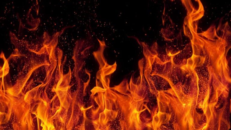 Tragedi Pilu di Rumah Kayu Semarang Tragedi Pilu di Rumah Kayu Semarang