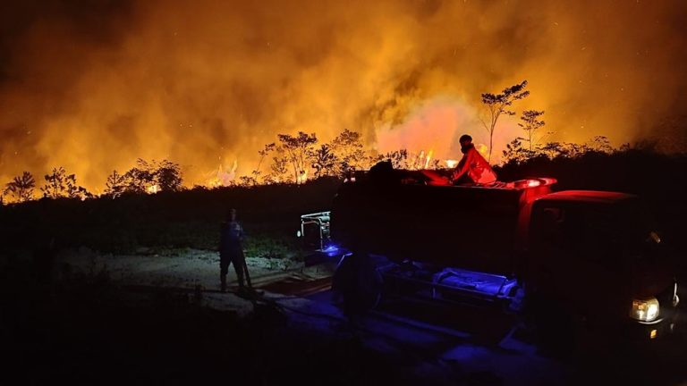 Peringatan Serius dari DPR Soal Karhutla Kalimantan