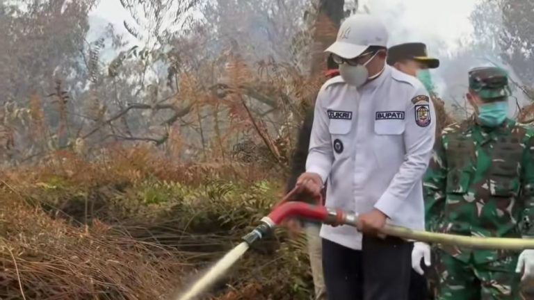 Kabut Asap Mencekam Pelalawan Sekolah Tutup Kabut Asap Mencekam Pelalawan Sekolah Tutup
