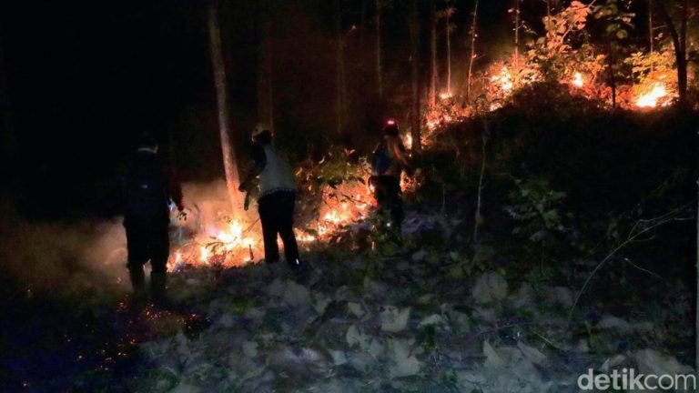 Ponorogo Diselimuti Asap Bahaya Mengintai
