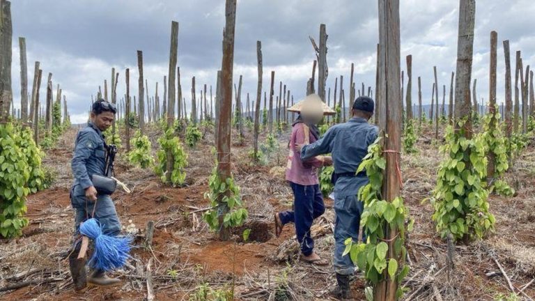 Skandal Lahan Hutan Lindung Sulsel Terkuak Tiga Ditangkap