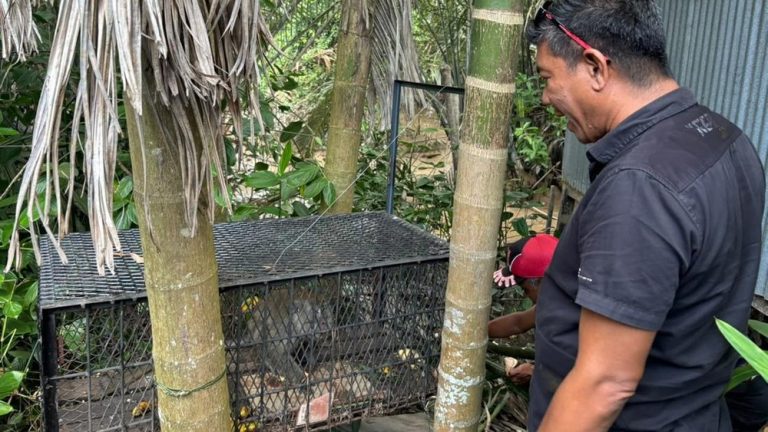 Peneror Warga Inhil Ditangkap Namun Kewaspadaan Tetap Tinggi
