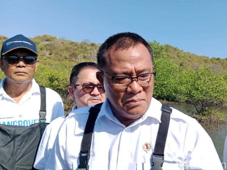 Aturan Baru Pembuka Lahan Sanksi Menanti Pembakar