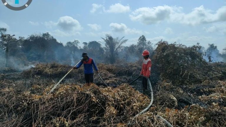 Hutan Indonesia Terbakar Hebat Kalbar Terluas Dalang Diincar