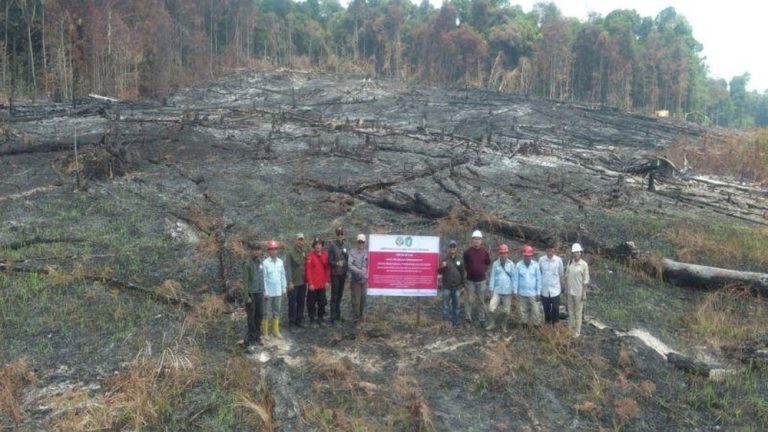 Skandal Karhutla Kalimantan Satu Izin Perusahaan Dibekukan