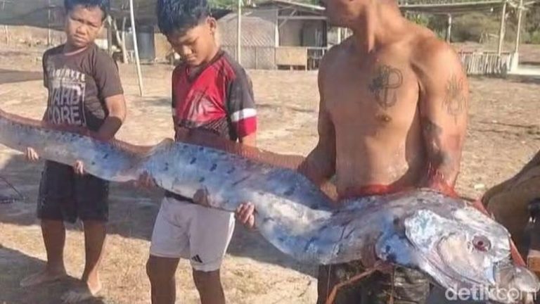 Fenomena Langka Gegerkan Pantai Pink Lombok Fenomena Langka Gegerkan Pantai Pink Lombok
