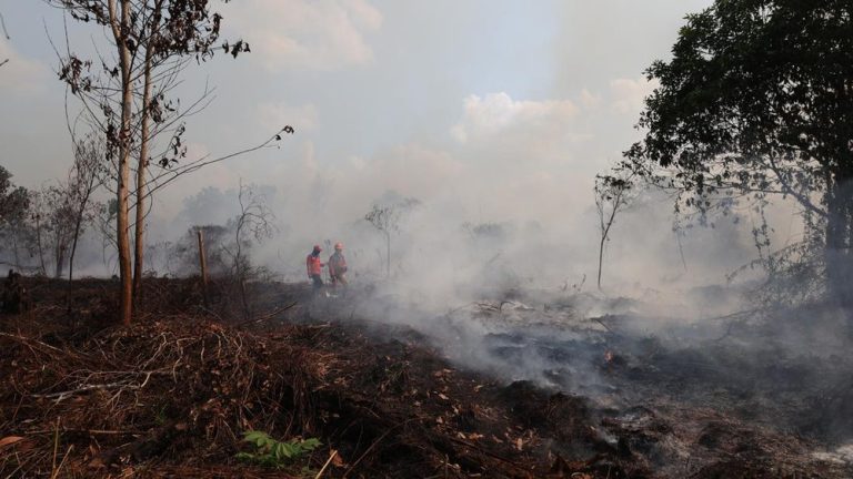 Asap Kalimantan BNPB Ungkap Fakta Penting Asap Kalimantan BNPB Ungkap Fakta Penting