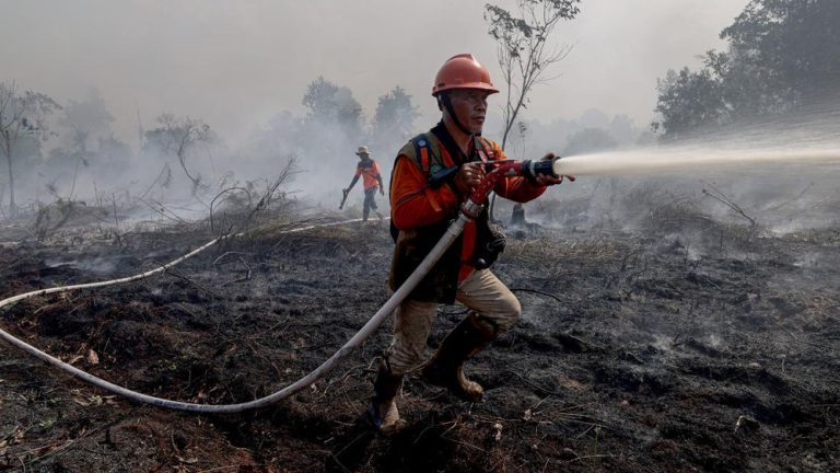 Asap Kalimantan Selimuti Malaysia Kualitas Udara Memburuk