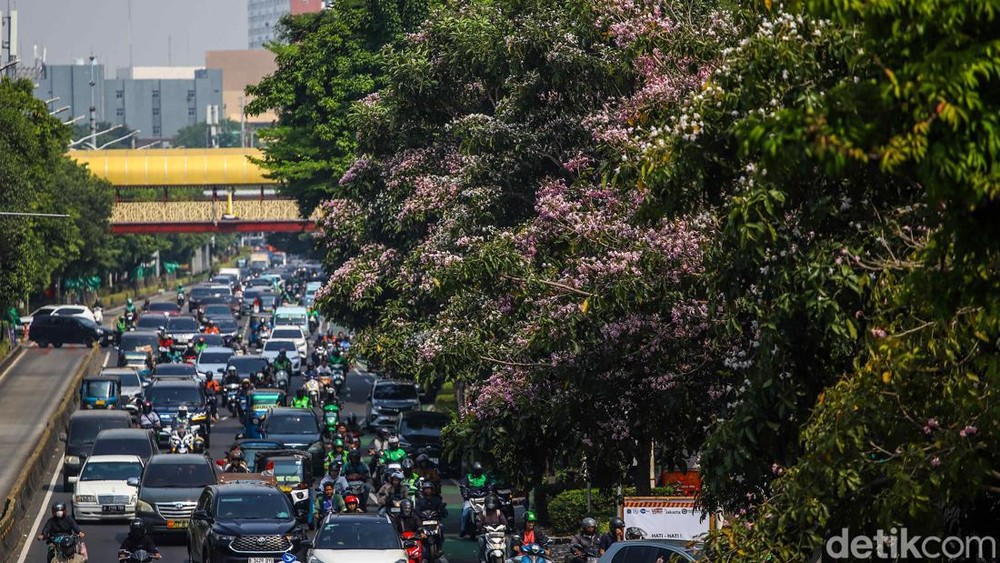 Jakarta Mendadak Jepang Warga Terpana