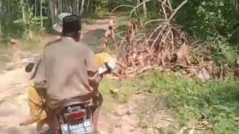 Viral Jenazah Anak Diangkut Motor Bukan Ambulans Ini Alasannya Viral Jenazah Anak Diangkut Motor Bukan Ambulans Ini Alasannya