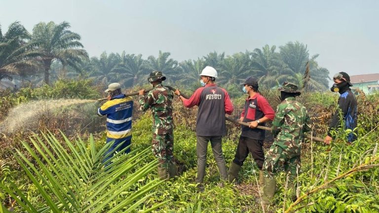Kunci Ampuh Hadapi Amukan Api di Kayong Utara